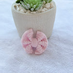 Pink Zigzag Micro